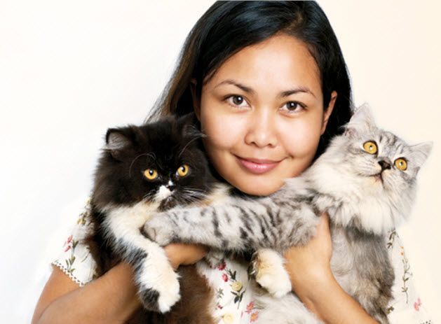 Persian Cats and Their Relationship with Their Owners