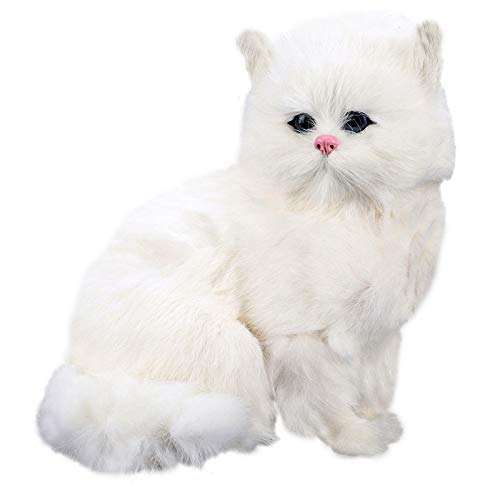 The Best Toys and Accessories for Your Persian Cat