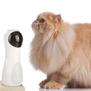 The Best Toys and Accessories for Your Persian Cat