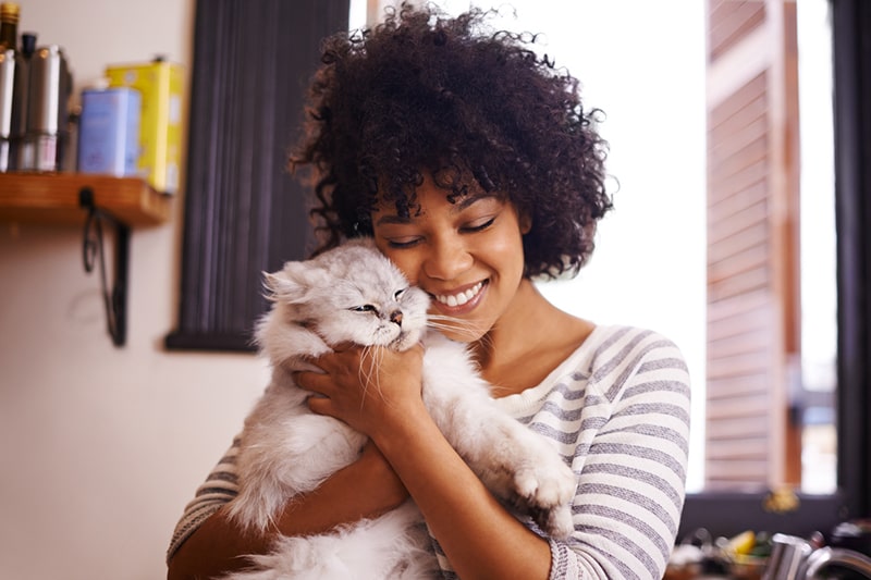 The Bond Between Persian Cats and Humans