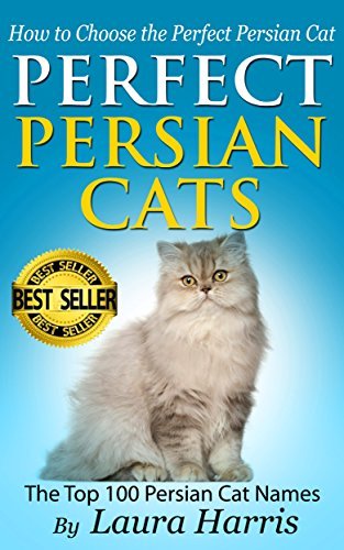 Tips for Choosing the Perfect Persian Cat