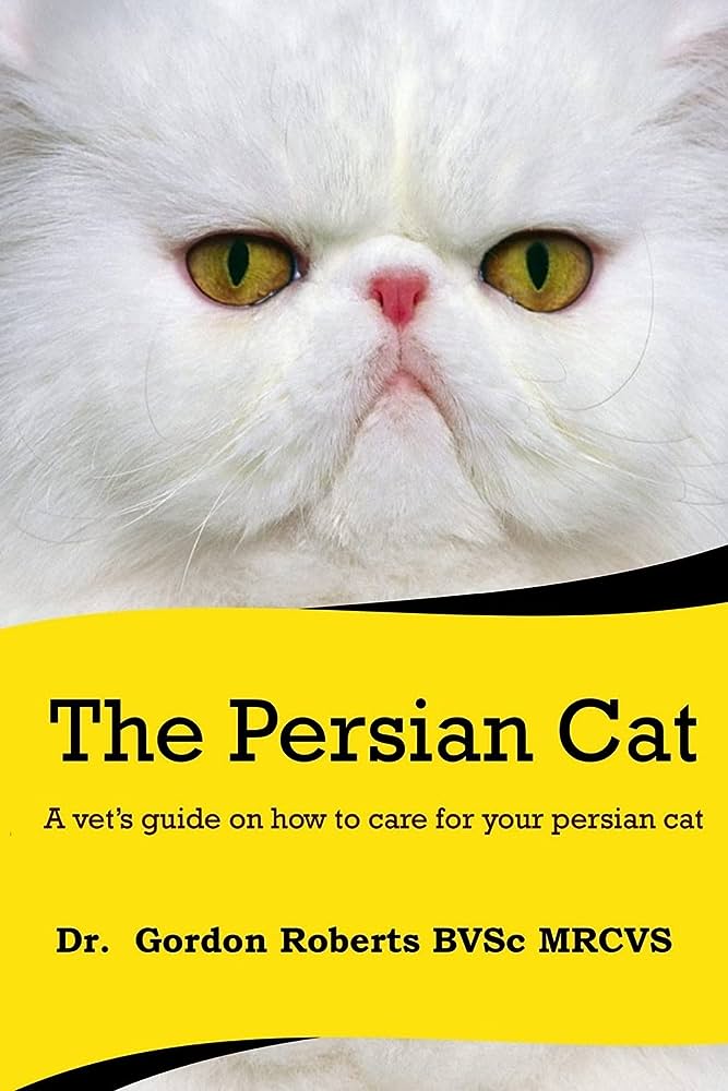 Finding the Right Veterinarian for Your Persian Cat