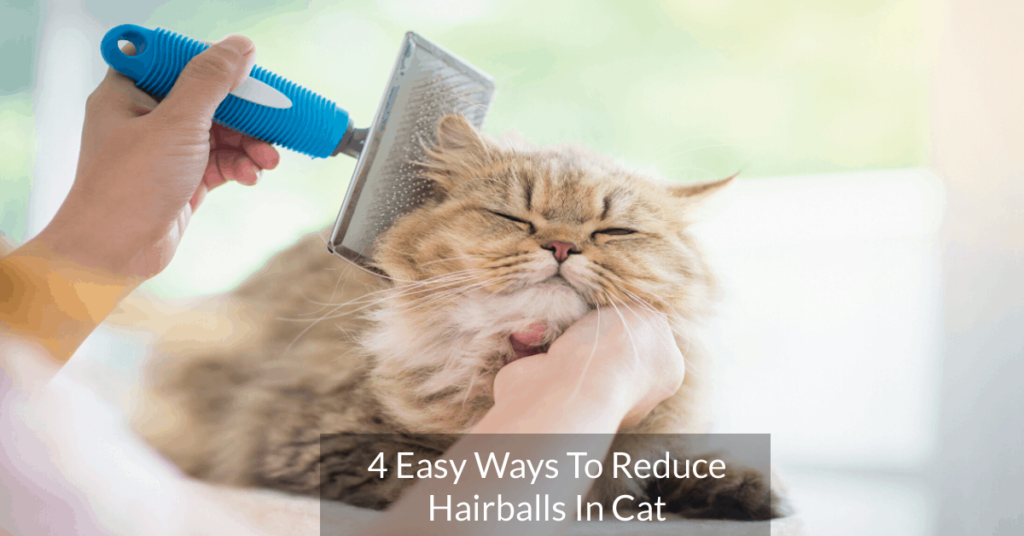 How to Prevent Hairballs in Persian Cats