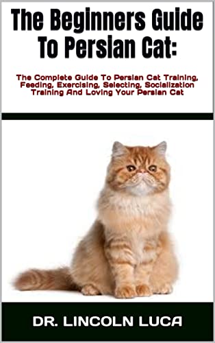 Persian Cat Care: A Complete Guide for Beginners