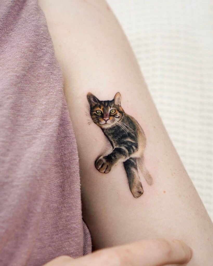 Persian Cat Tattoos: Showcasing Love for Felines