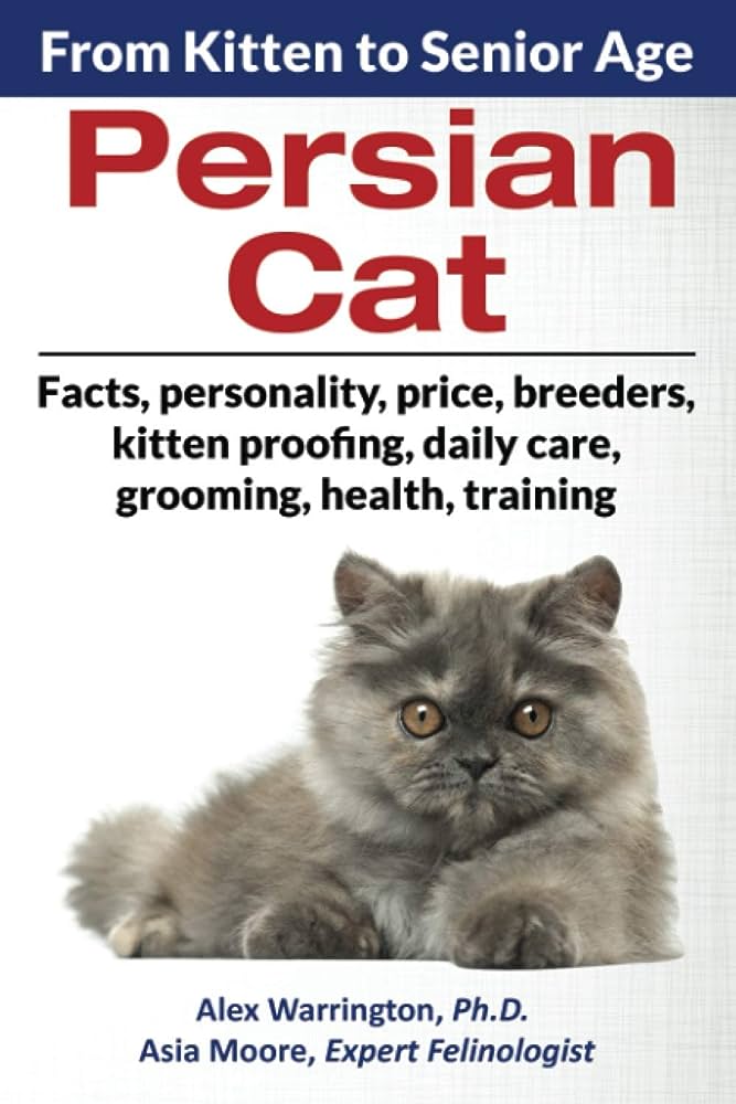 Persian Cats and Aging: Senior Cat Care