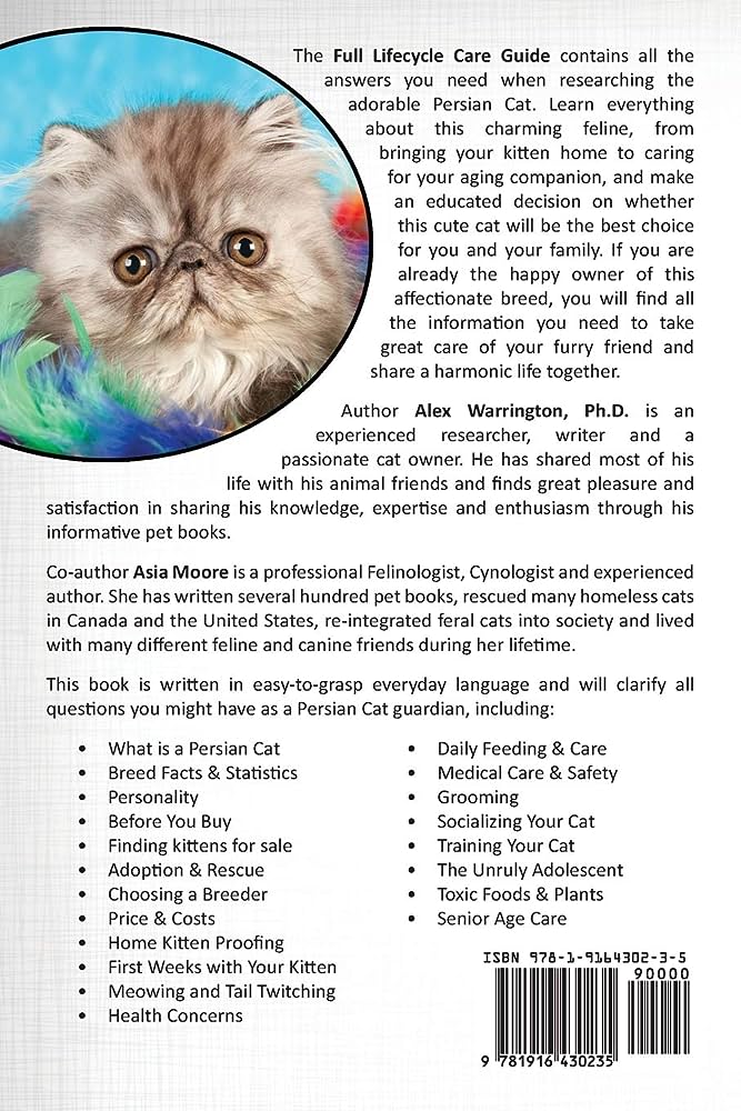 Persian Cats and Aging: Senior Cat Care