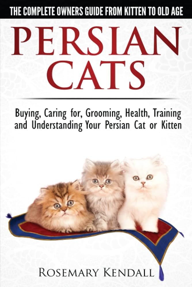 Persian Cats and Aging: Senior Cat Care