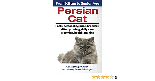 Persian Cats and Aging: Senior Cat Care