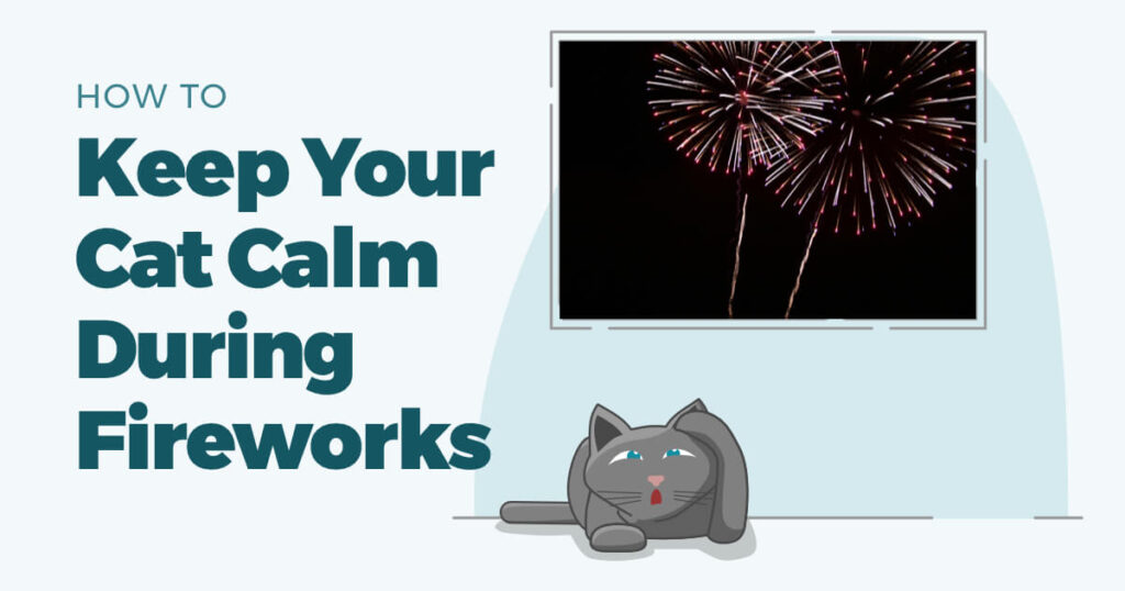 Persian Cats and Fireworks: Keeping Them Calm and Safe