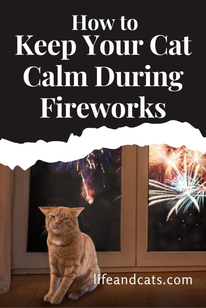 Persian Cats and Fireworks: Keeping Them Calm and Safe