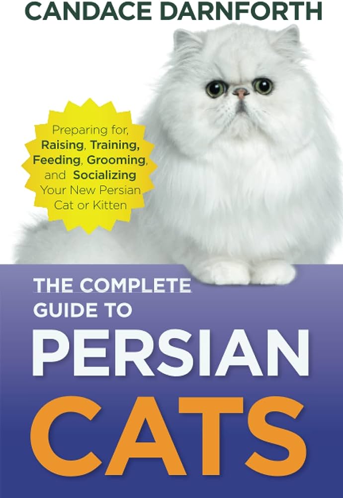 Teaching Your Persian Cat Tricks and Commands