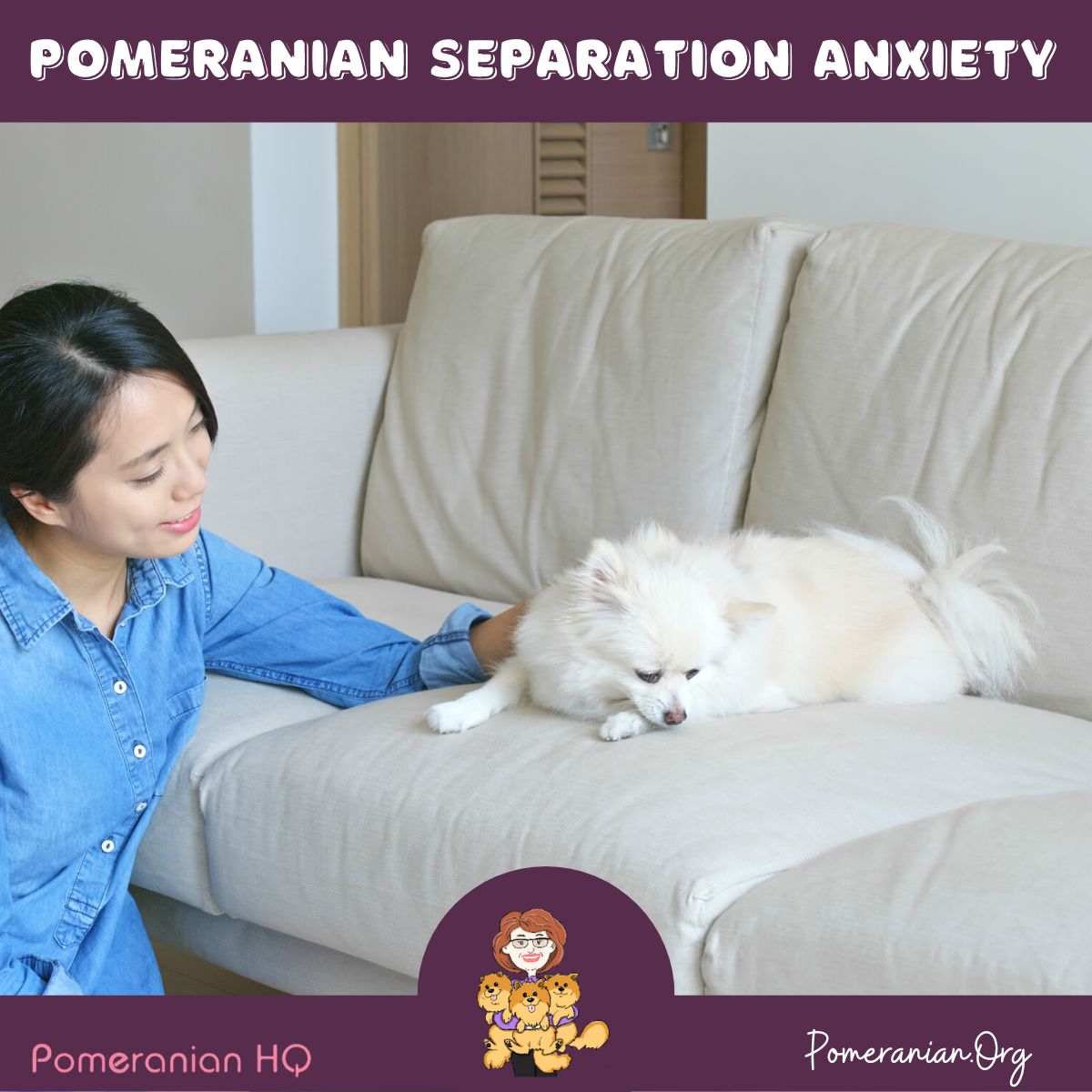 Persian Cats and Separation Anxiety: Soothing Techniques