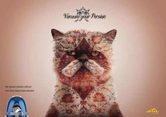 Persian Cats in Advertising: Memorable Feline Campaigns