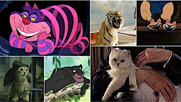 Persian Cats in Cartoons: Iconic Feline Characters