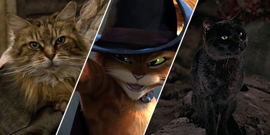 Persian Cats in Movies: Memorable Cats on the Silver Screen