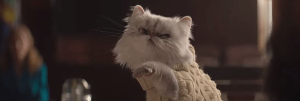 Persian Cats in Movies: Memorable Cats on the Silver Screen