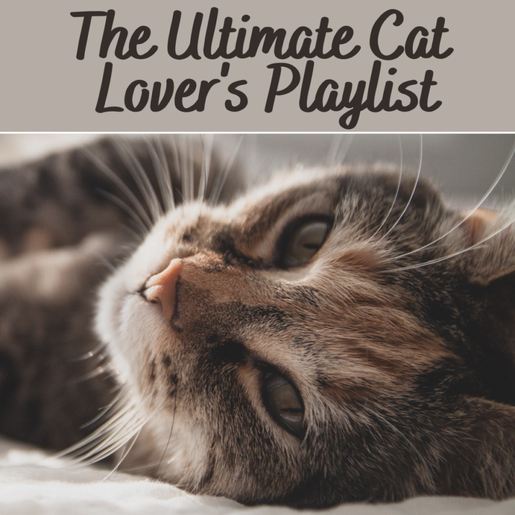 Persian Cats in Music: Songs Dedicated to Feline Beauties